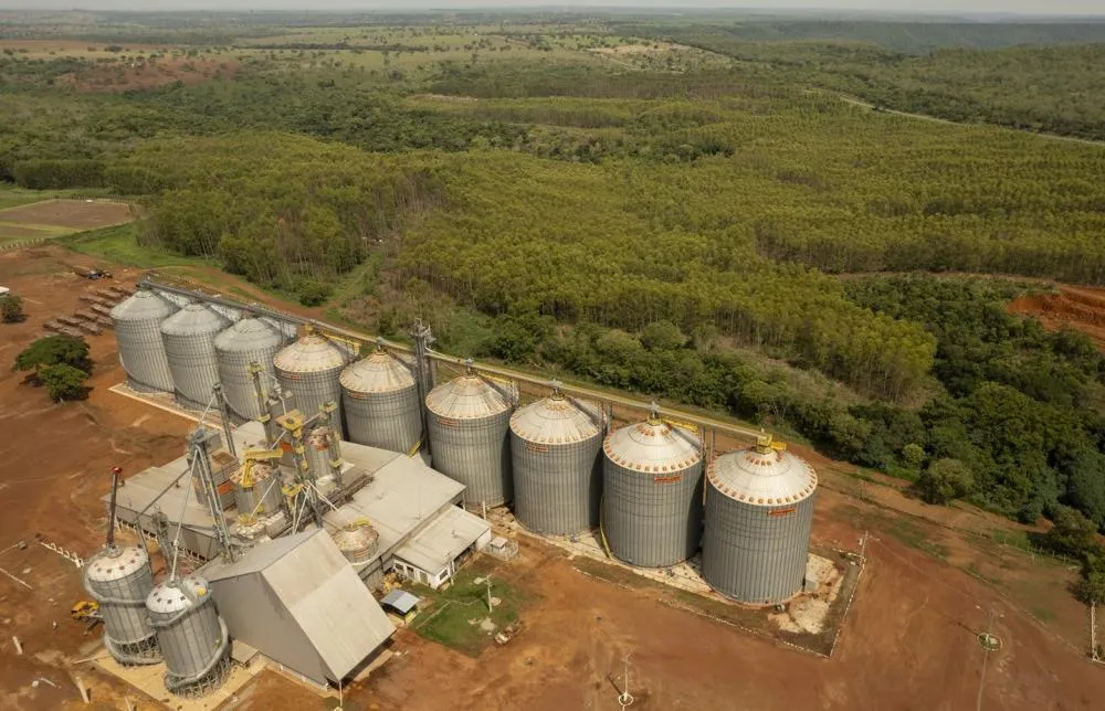 Há uma década no Tocantins, Frísia conta com entrepostos em Paraíso (foto) e Dois Irmãos, além de escritório administrativo em Palmas. Crédito da imagem: Cooperativa Frísia.