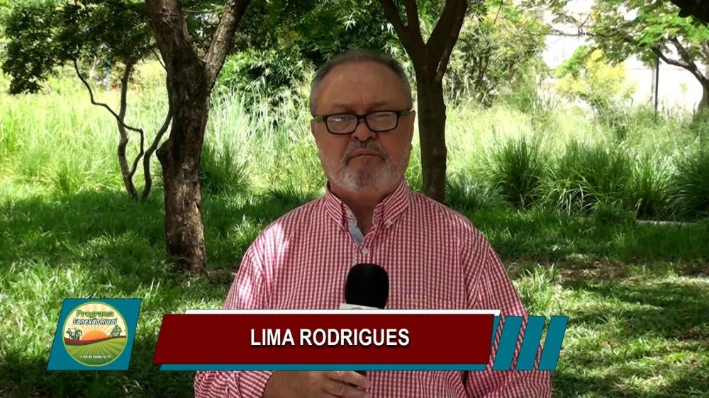 Jornalista Lima Rodrigues