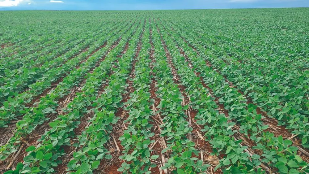 Juntas, na Norte Show, PI AgSciences e Agrícola Alvorada entregam inovação e sustentabilidade no manejo da soja
