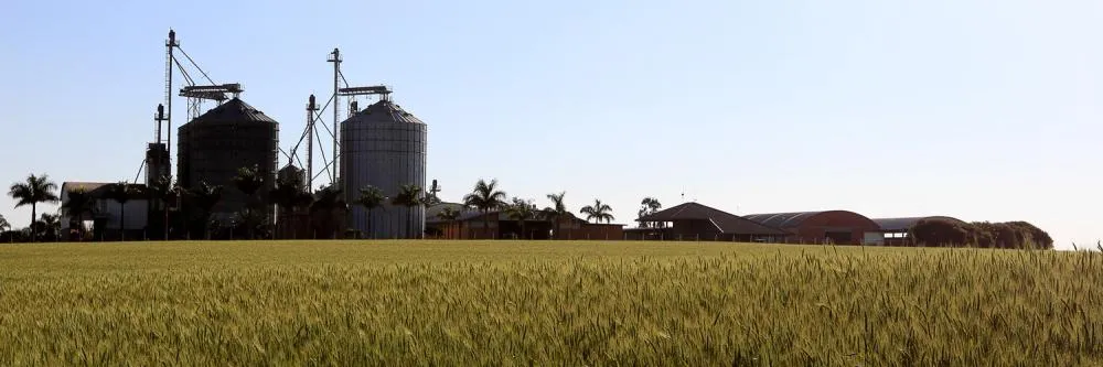 Sistema FAEP discorda da tabela 2026 de Valor da Terra Nua no Paraná