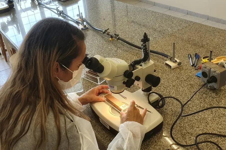 Combate: Paraná monitora arboviroses com sistema eficiente e de baixo custo Foto: SESA