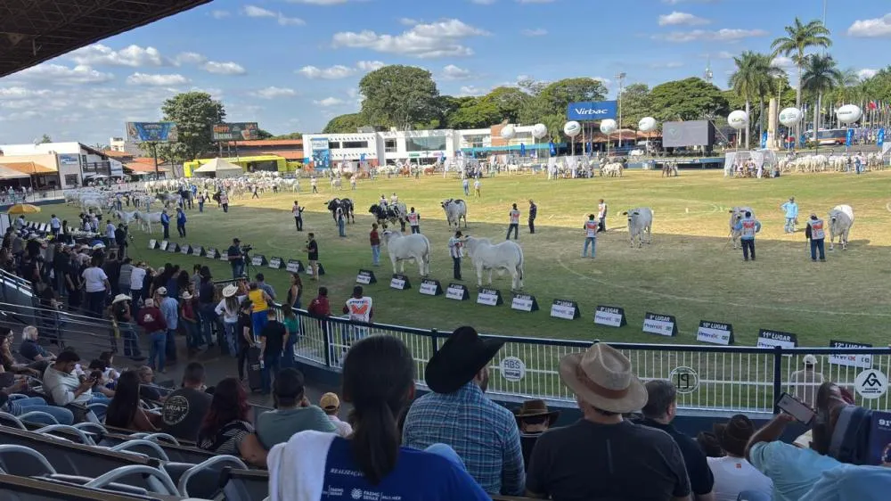Os melhores animais e expositores da raça Nelore na Expozebu 2026. Divulgação