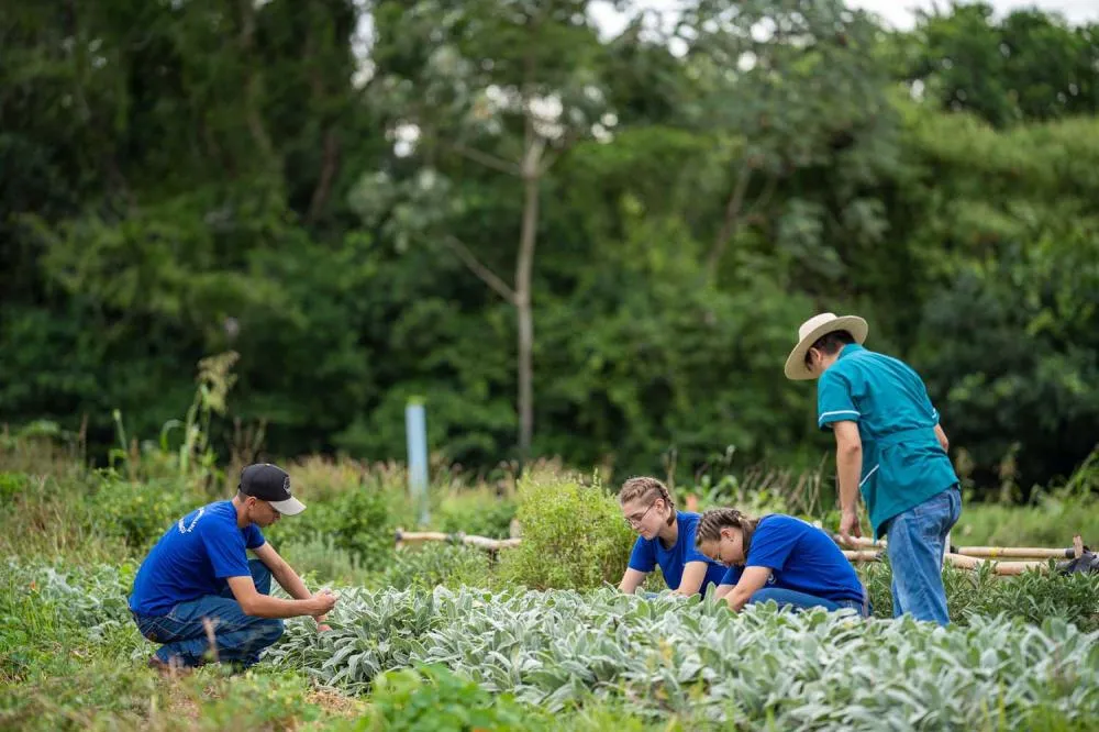 Programa que aproxima colégios agrícolas de universidades vai receber R$ 3,4 milhões Foto: Lucas Fermin/SEED