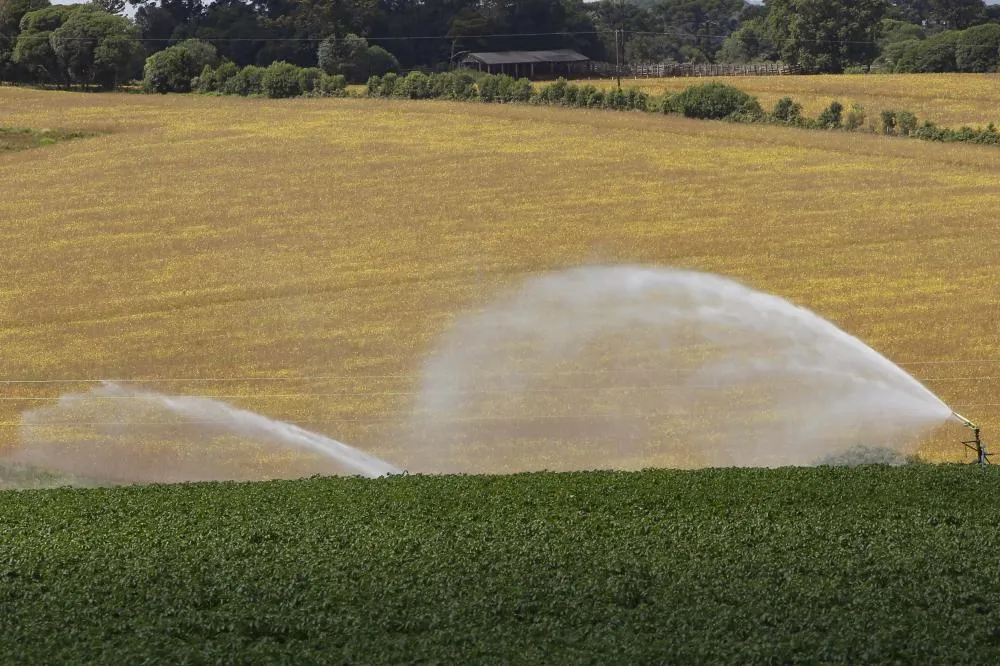 ICMS zero: Paraná prorroga isenção para produtos agropecuários até 31 de dezembro 2026