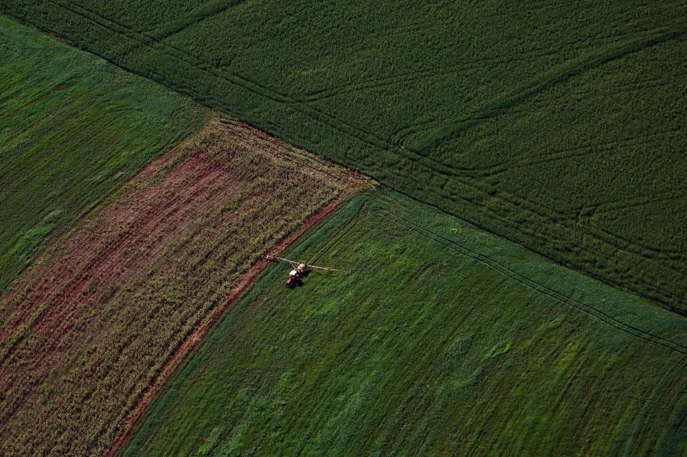 Webinar orienta empresas sobre como participar do programa Nexus de inovação no agro. Foto AEN