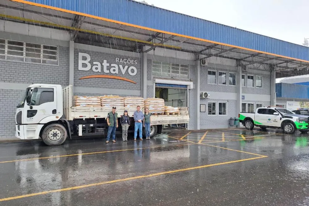 Parceria entre IAT e Frísia vai ajudar no controle populacional de javalis nas Unidades de Conservação do Paraná Foto: IAT