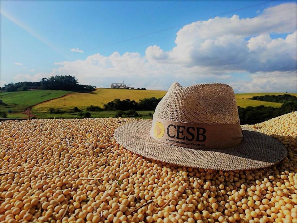Sergio Abud, biólogo da Embrapa e membro do CESB, compartilha valiosas orientações
