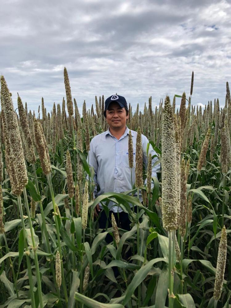 O engenheiro agrônomo Wilson Takuro Higuchi, que trabalha numa propriedade agrícola no município de Formosa do Rio Preto (BA), também chegou a esse patamar de produtividade, de 51 sc/há.