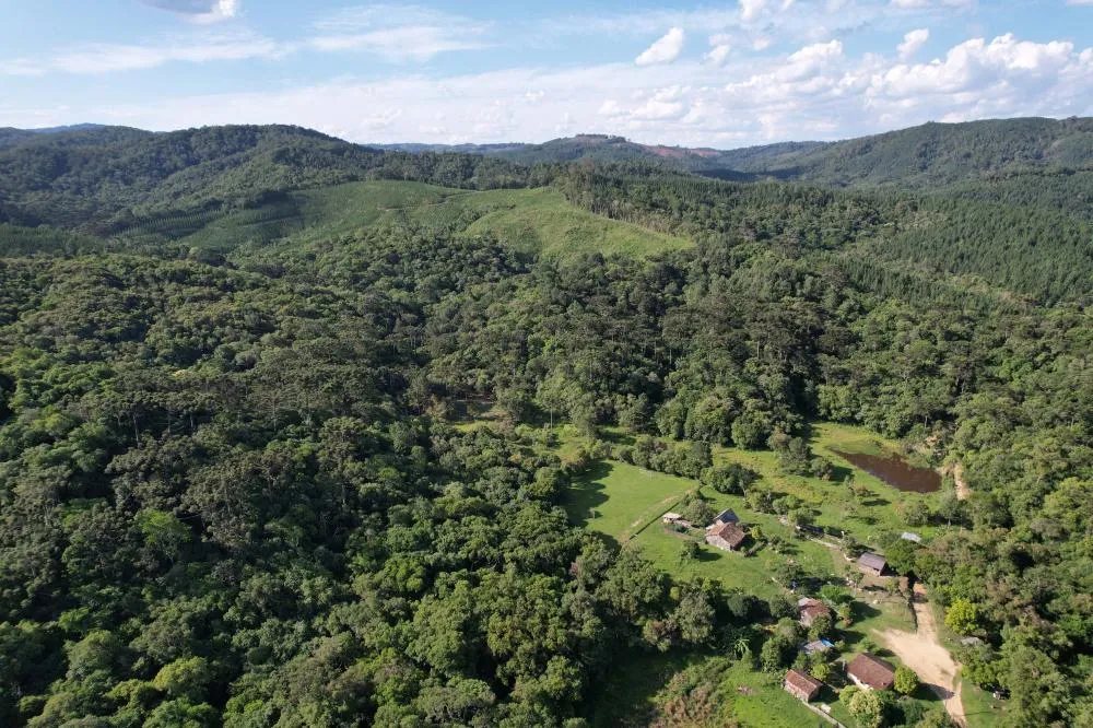 O Paraná vai ganhar nos próximos meses cinco novas unidades de Conservação: Monos de Castro, Monos de Cerro Azul, Maciel, Tia Chica e Núcleo Cercado. Foto: IAT