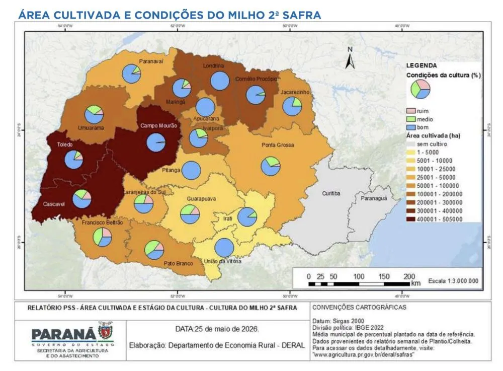 Lavouras de milho safrinha apresentam bom desenvolvimento no Paraná, apesar de impactos pontuais causados pelo clima. ARTE DERAL.