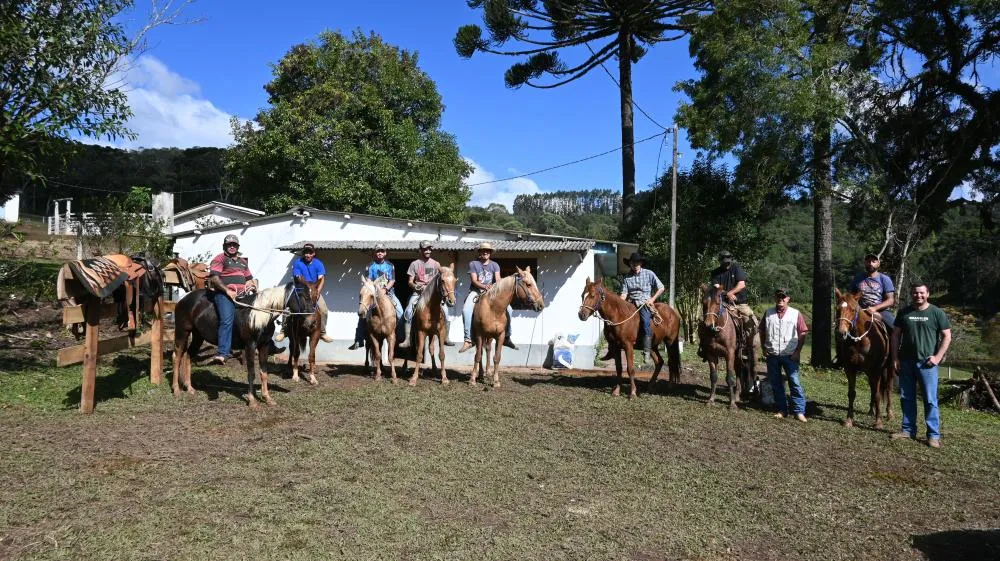 Curso de doma racional em Castro aposta no bem-estar animal e na formação de novos profissionais do mercado equino. Crédito da Foto: Toninho Anhaia
