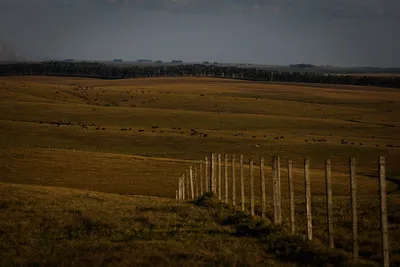 Inadimplência aumenta em meio a tentativa do governo de barrar renegociação