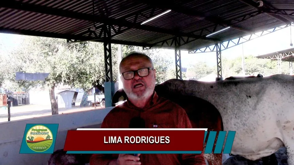 Jornalista Lima Rodrigues