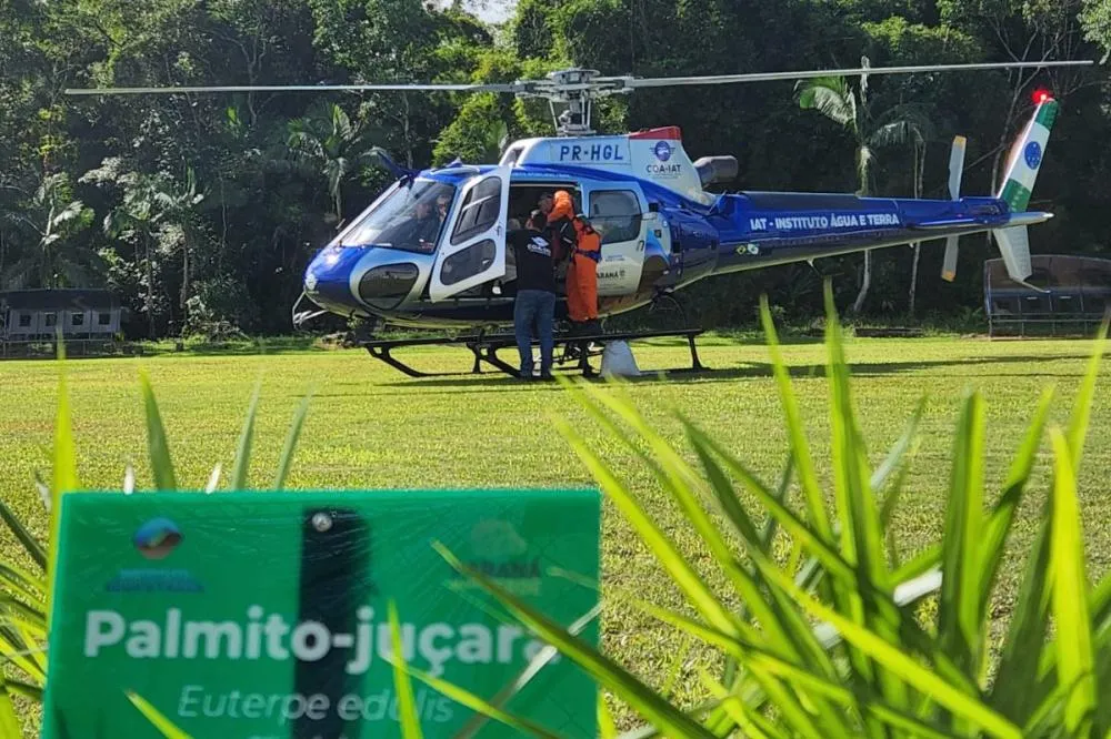 Ação coordenada pelo Instituto Água e Terra promoveu a dispersão de 700 mil sementes de palmito-juçara no Litoral do Paraná Foto: COA-IAT
