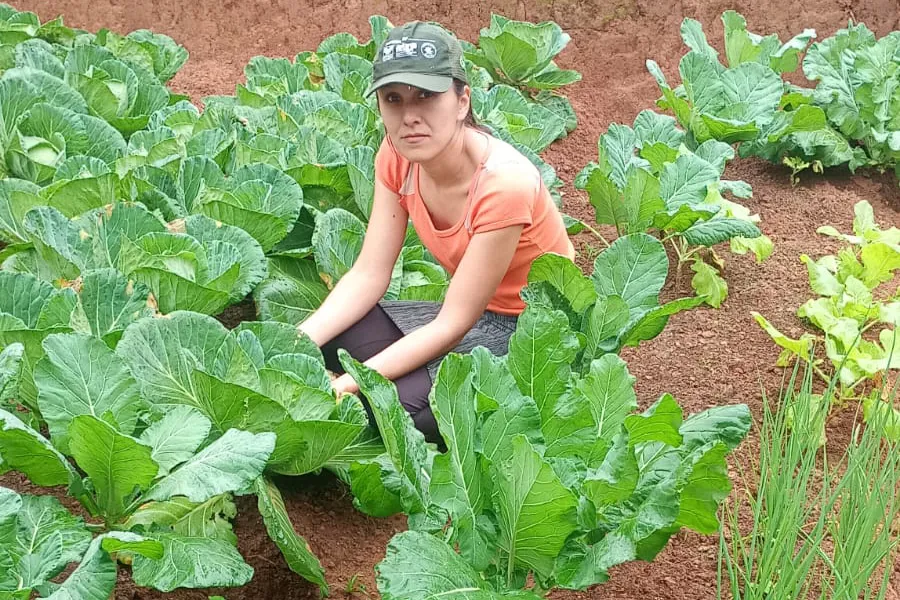 Segurança alimentar e renda: IDR-Paraná implanta hortas domésticas em Campo Largo. IDR