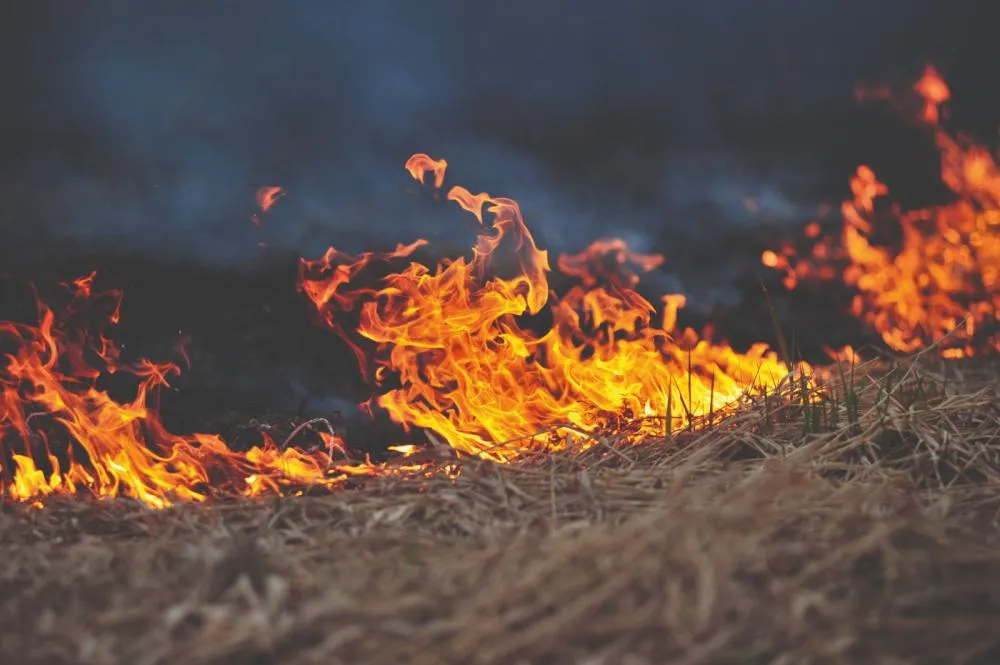 Seca reforça importância da prevenção aos incêndios no campo