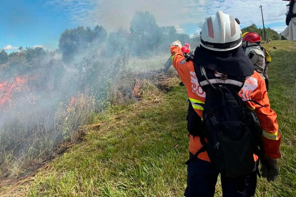 IDR-Paraná participa de Campanha de Prevenção e Combate a Incêndios Florestais Foto: IDR