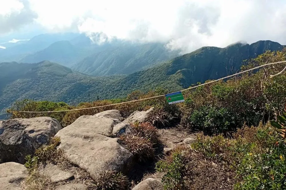 IAT cerca áreas degradadas do Pico Paraná para viabilizar restauração ambiental Foto: IAT