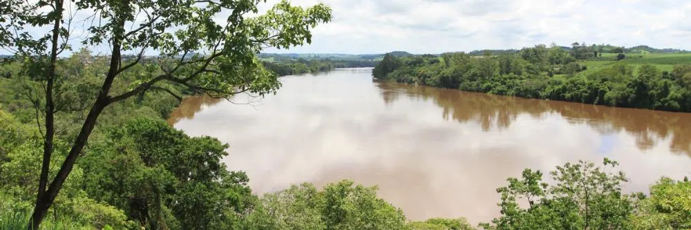 Novo decreto federal amplia possibilidades de pagamento por serviços ambientais ao agro, mas ainda exige regulamentação