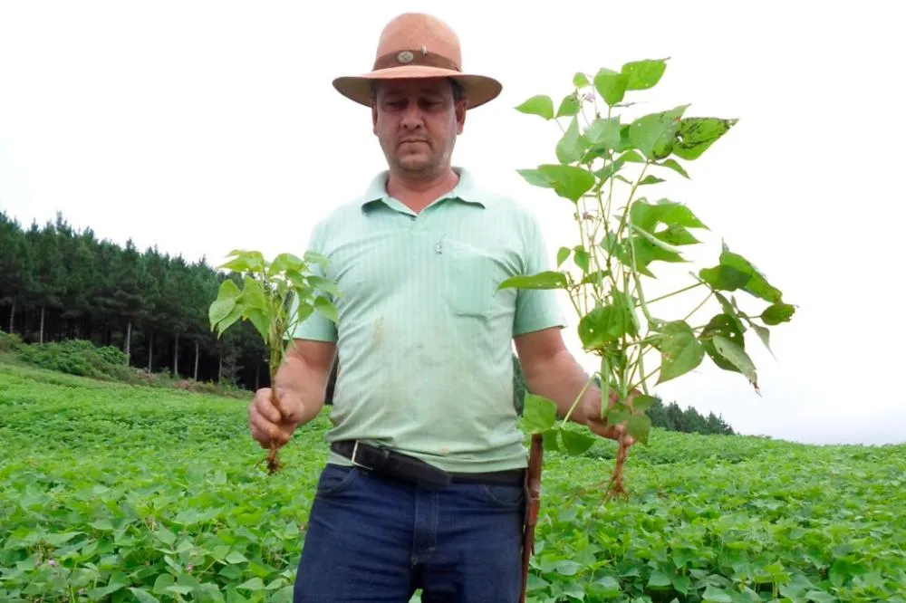 Em novo edital, Sanepar amplia disponibilidade de biossólido para a agricultura Foto: Sanepar