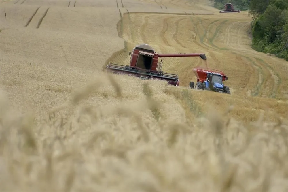 Ponta Grossa sedia encontro sobre governança no agro e gestão de riscos em 1º de julho