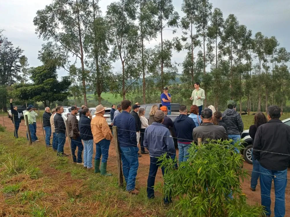 Conhecimento e gestão impulsionam Dia de Campo da Pecuária Moderna no Norte Pioneiro