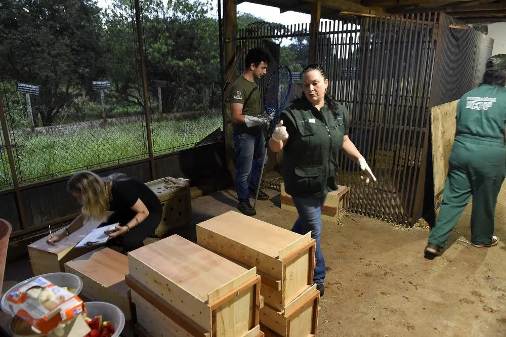 Novo canal do IAT registrou mais de 2,8 mil denúncias de crimes ambientais em 4 meses Foto: Denis Ferreira Netto/SEDEST