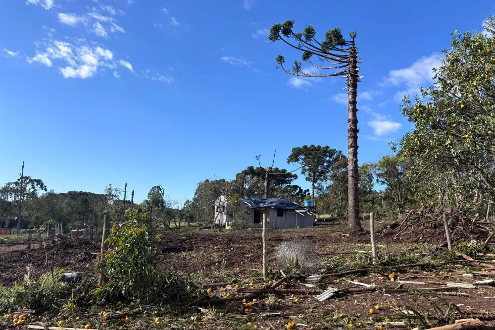 Simepar confirma tornado da categoria F2 em Reserva; ventos chegaram a 200 km/h Foto: Simepar