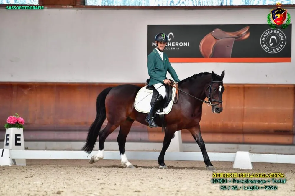 Paratleta paranaense leva Cavalo Crioulo ao principal palco do hipismo mundial Sasso Fotografie