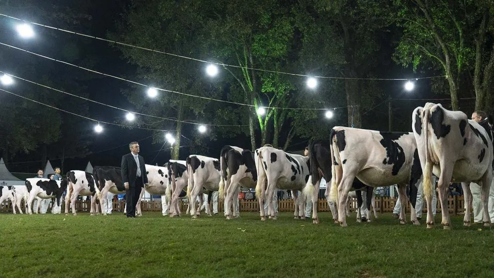 52ª Expoleite recebe 35 mil visitantes em Arapoti (PR) Ana Luisa Cecato