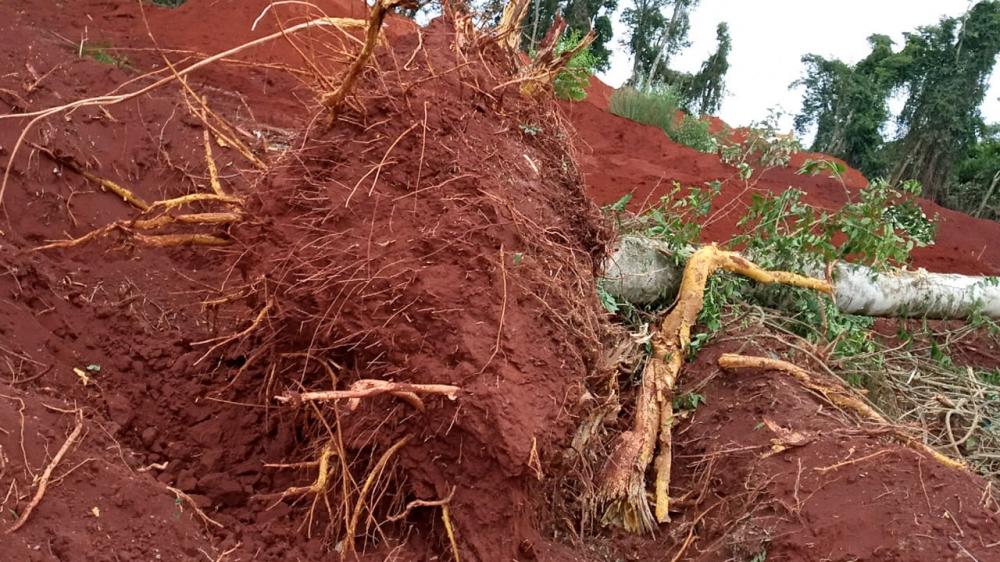 A ação resultou na prisão de nove pessoas, apreensão de seis máquinas e um total de R$ 252 mil em multas. A área desmatada soma 3,8 ha (hectares) do Bioma Mata Atlântica. 