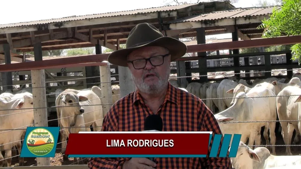 Confira os destaques do Conexão Rural Brasil deste fim de semana – 18 e 19 de julho de 2026: