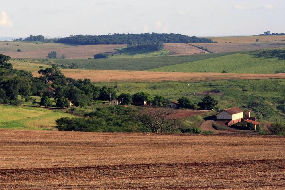 “Se há um setor onde os produtores rurais brasileiros dominam e está se expandindo, não existe motivo para entregar aos estrangeiros”, destaca Ágide Meneguette, presidente da FAEP.