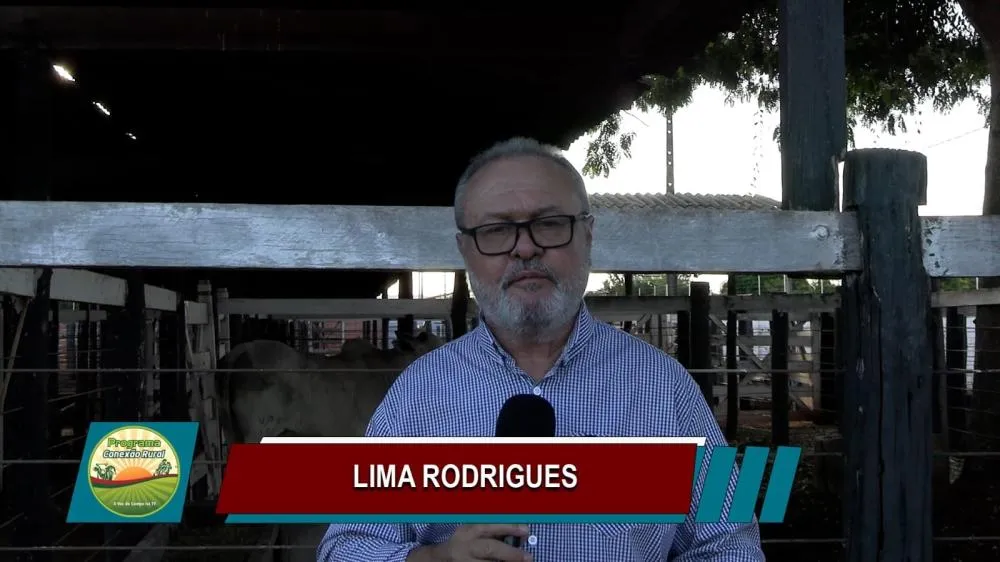 Confira os destaques do Conexão Rural Brasil deste fim de semana – 25 e 26 de julho de 2026:
