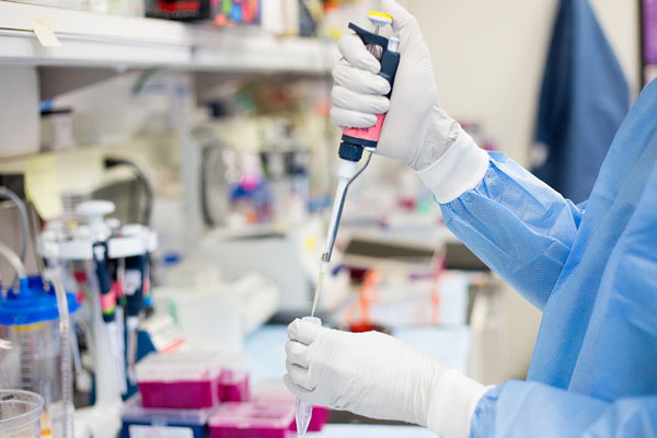 Farmacêuticos são essenciais também para o registro de produtos veterinários feito pelo Ministério da Agricultura, Pecuária e Abastecimento. Esses itens devem passar por análises que comprovem sua eficácia e segurança antes de serem comercializados no paí