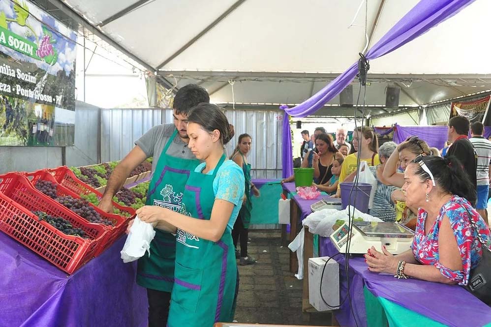 A expectativa da feira é vender aproximadamente 40 toneladas de uva, este ano o quilo fica na faixa de R$ 8,00. Fotos Toninho Anhaia