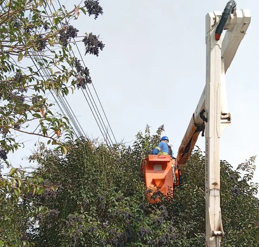 Copel realiza mutirão de podas de árvores em Castro para ampliar confiabilidade do sistema elétrico