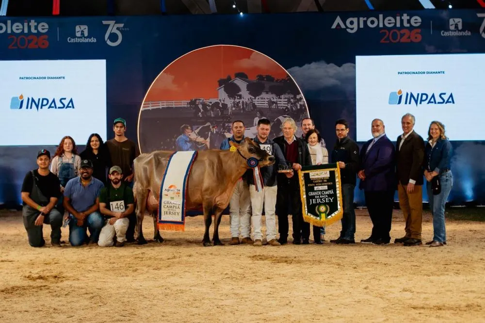 Vaca Suprema de 2024 conquista tricampeonato da raça Jersey Adulta e tem chance de conquistar mais uma estrela na Calçada da Fama