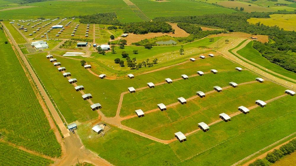 Somente em 2020, a empresa ampliou em 20% a capacidade do alojamento, passando a sua capacidade para abrigar 600 animais. E aumentou para 3 mil metros quadrados a área coberta destinada à coleta dos reprodutores, o que equivale ao dobro das dimensões ante