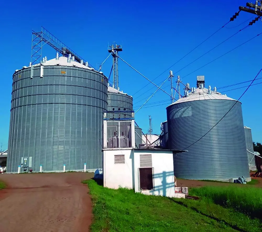 Mais de seis trabalhadores morrem por mês em acidentes dentro de silos de grãos