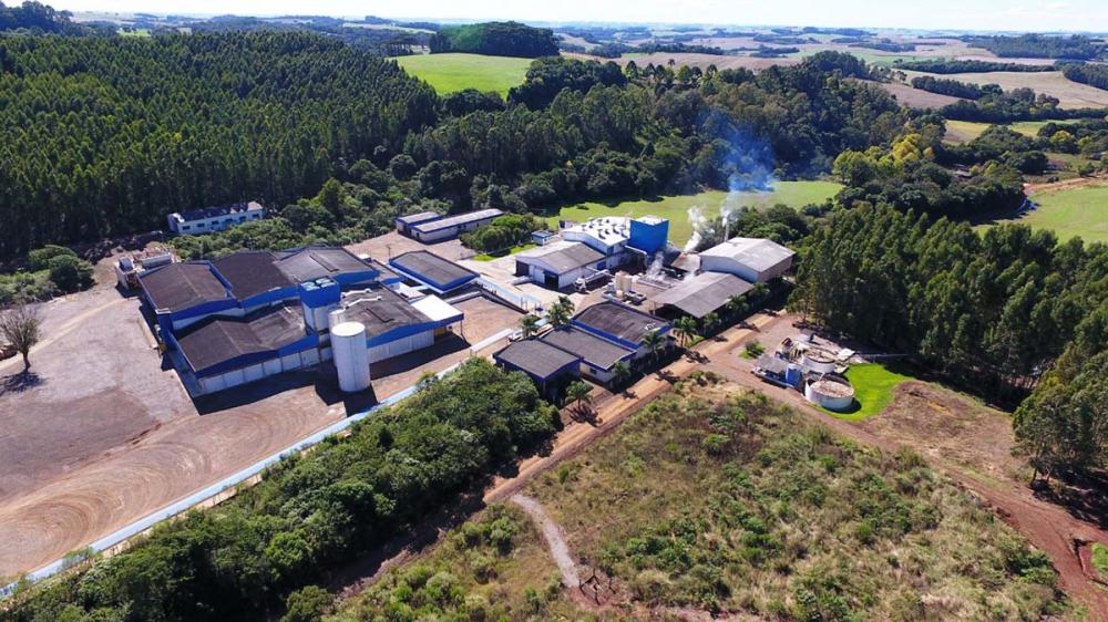 Com o ERP hoje a Agrodanieli consegue acompanhar as vendas, tomar decisões com base em dados e números, interagir de forma simples com outros softwares, e lidar com uma média de 600 chamados por mês.