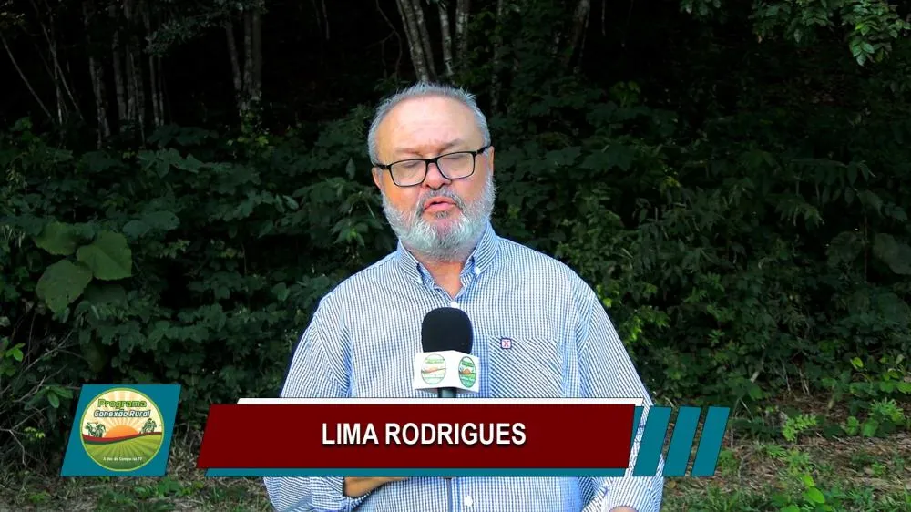 Confira os destaques do Conexão Rural Brasil deste fim de semana – 15 e 16 de agosto de 2026: