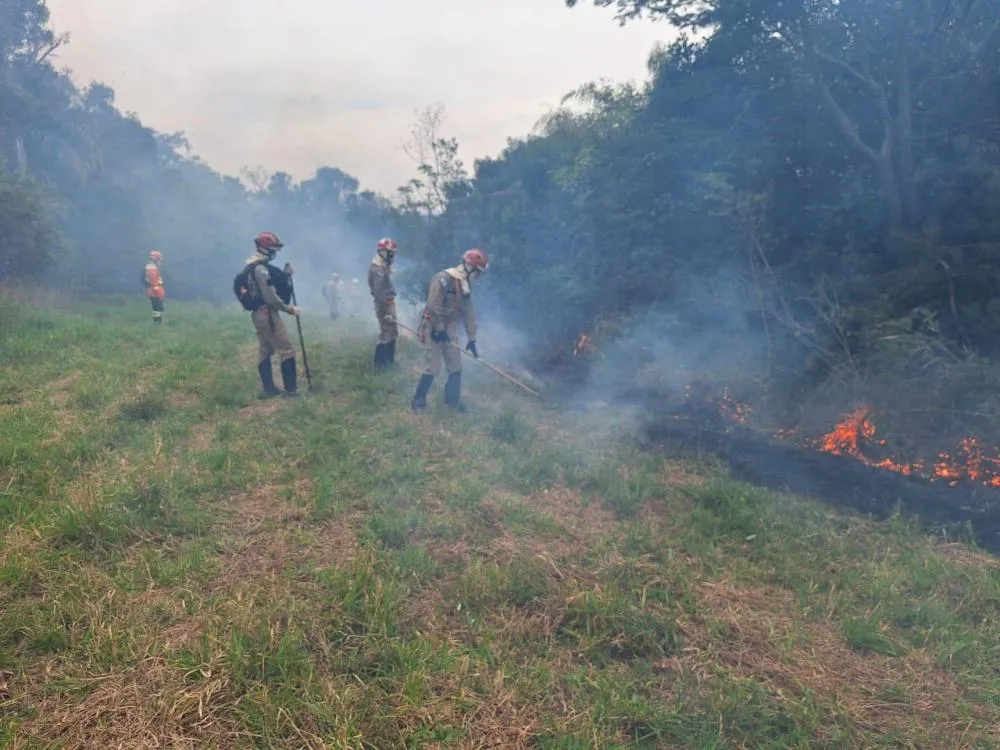 Com queima controlada, IAT promove a limpeza de 120 hectares em Vila Velha