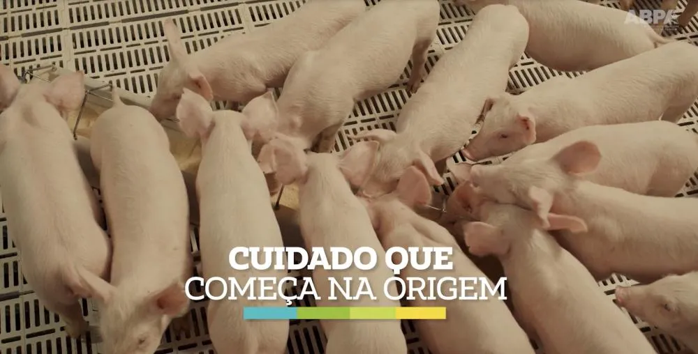 ABPA reforça biosseguridade na suinocultura com nova campanha. Foto ABPA 