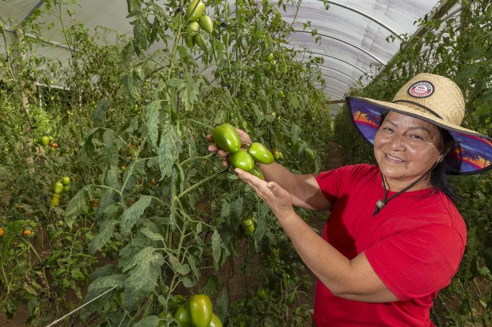 Universidades estaduais auxiliam agricultores familiares na certificação orgânica