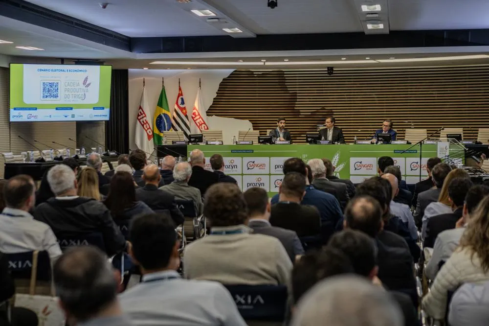 Trigo paulista avança em qualidade, mas enfrenta perdas provocadas pelo clima
