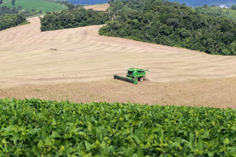 Prazo para declaração do ITR termina nesta quarta-feira (30); IDR-Paraná orienta produtores rurais
