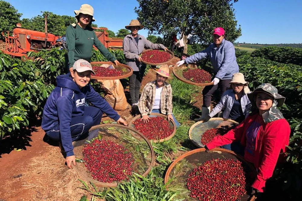 15º Encontro de Mulheres do Território Noroeste aborda direitos, produção e geração de renda. FOTO IDR PARANÁ