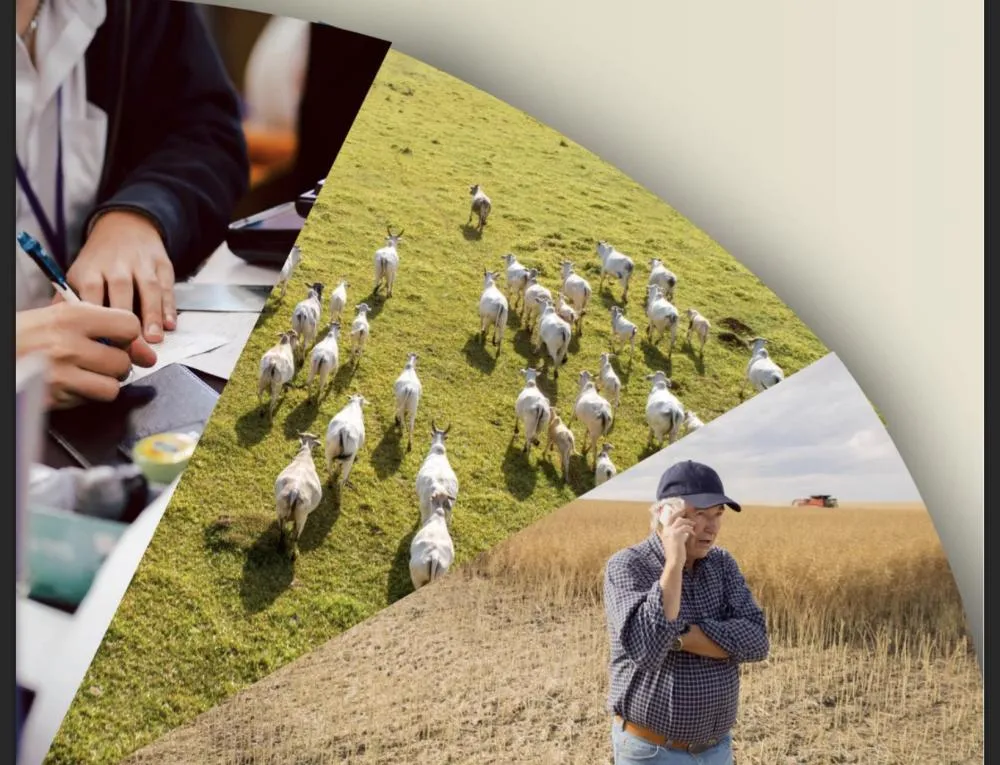 CEPEA: Inadimplência recorde do crédito rural vem do custo, da composição e da concentração da dívida, não do seu tamanho, aponta TOD do Cepea