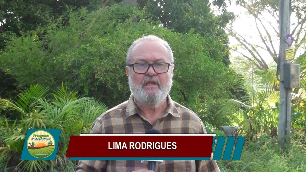 Jornalista Lima Rodrigues